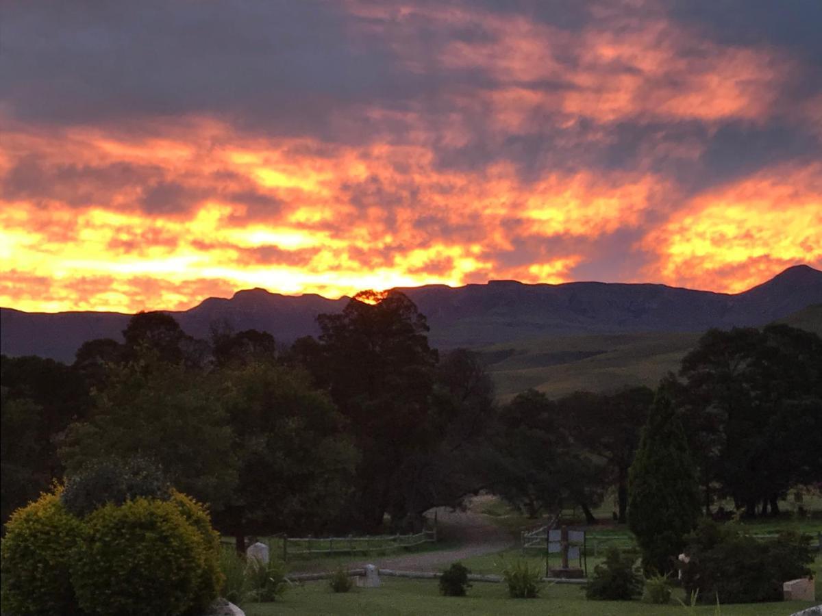 Berghouse And Cottages Langkloof Luaran gambar