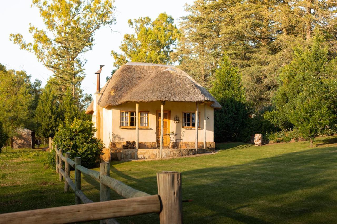 Berghouse And Cottages Langkloof Luaran gambar